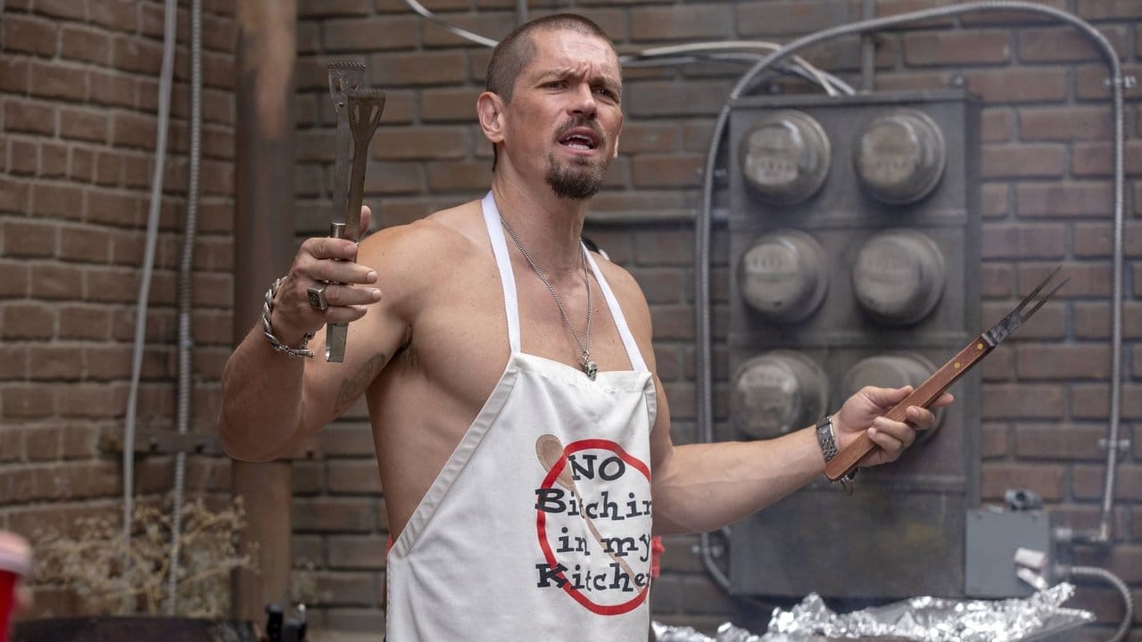 Shameless - Niepokorni {se_code} na Vider