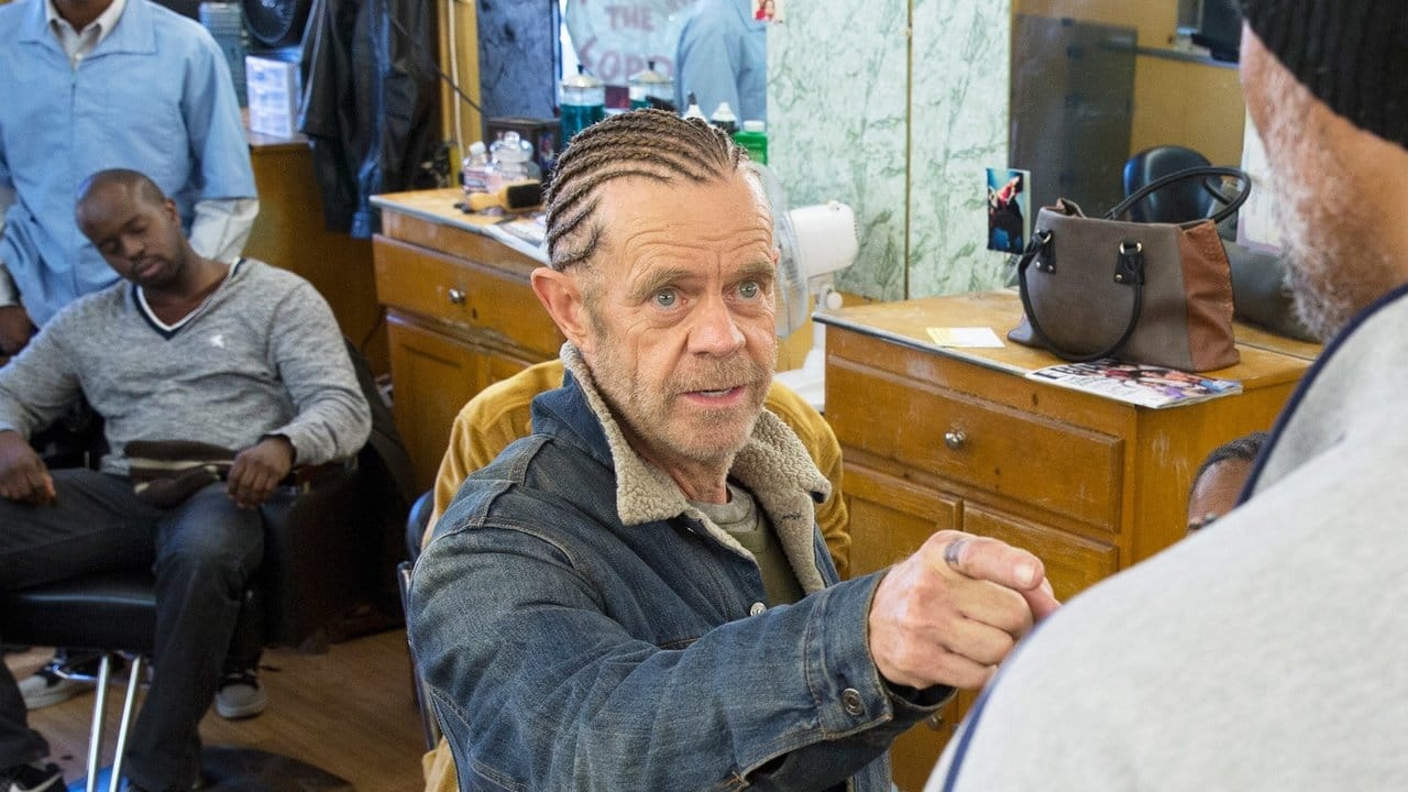 Shameless - Niepokorni {se_code} na Vider