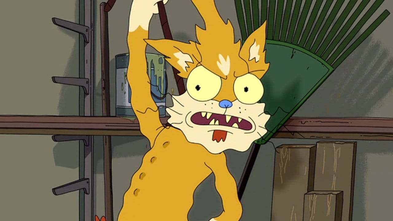 Rick i Morty {se_code} na Vider