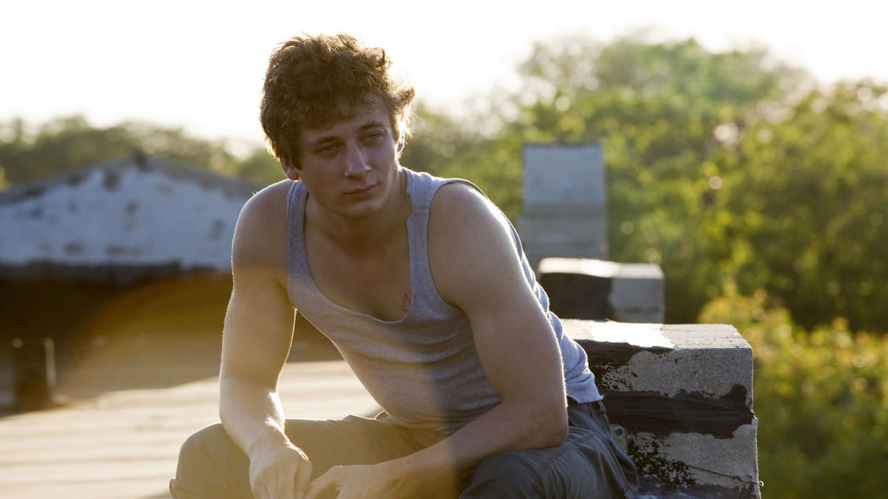 Shameless - Niepokorni {se_code} na Vider