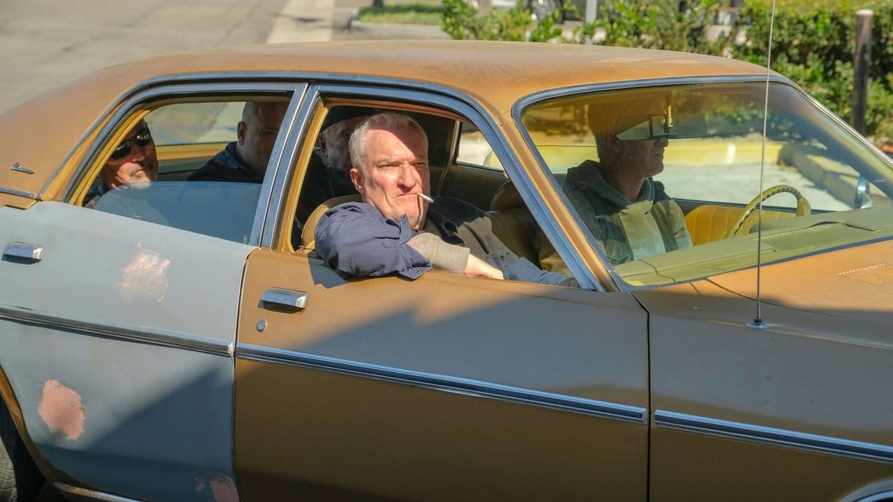 Shameless - Niepokorni {se_code} na Vider