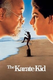 Karate Kid na Vider | Online