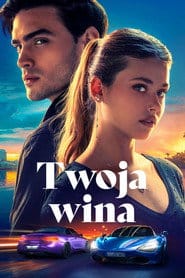 Twoja wina na Vider | Online