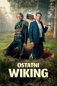 Ostatni wiking na Vider | Online