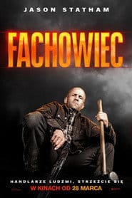 Fachowiec na Vider | Online