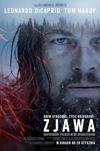 Zjawa na Vider | Online
