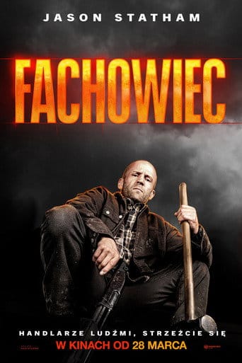Fachowiec na Vider | Online