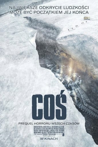Coś na Vider | Online