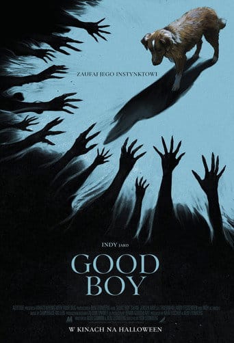 Good boy na Vider | Online