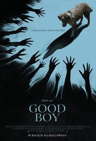 Good boy na Vider | Online