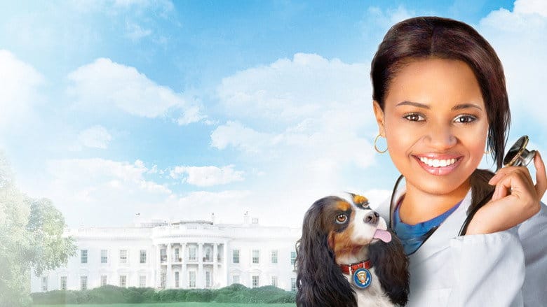 Doktor Dolittle 4: pies prezydenta na Vider | Online