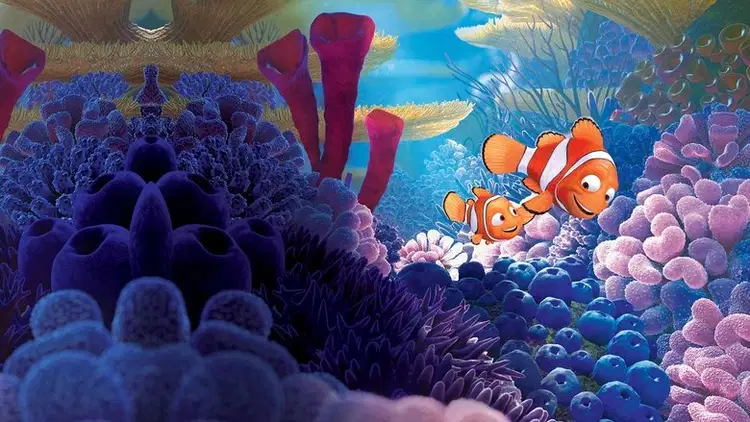 Gdzie jest Nemo na Vider | Online