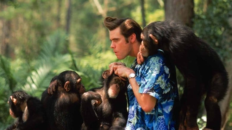 Ace Ventura: Zew natury na Vider | Online