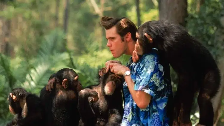 Ace Ventura: Zew natury na Vider | Online