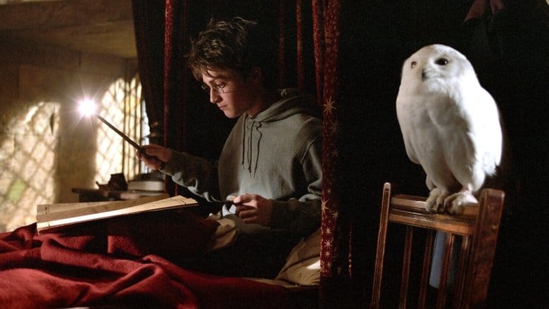 Harry Potter i więzień Azkabanu na Vider | Online