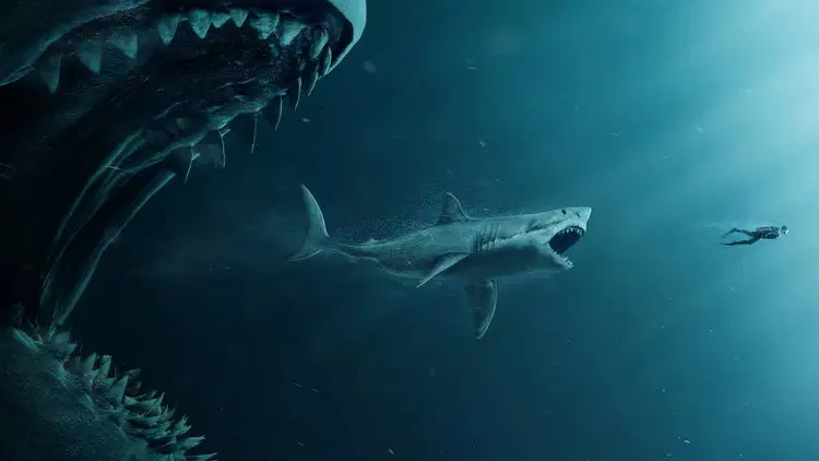 The Meg na Vider | Online