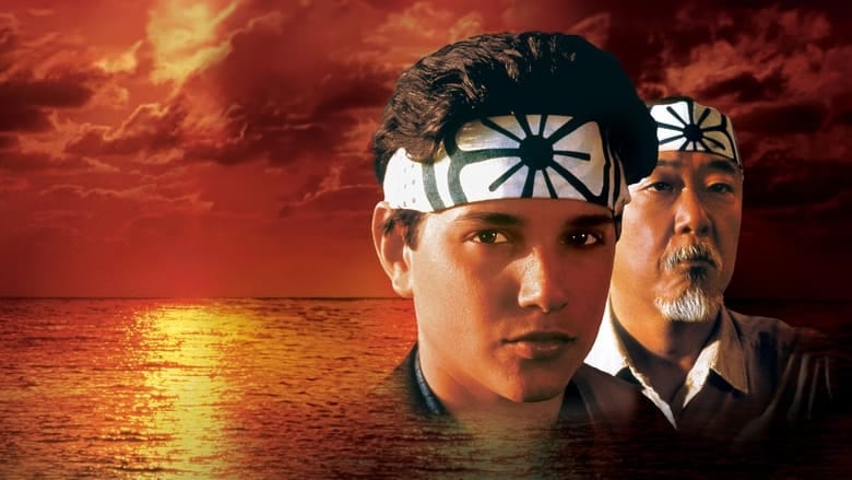 Karate Kid na Vider | Online