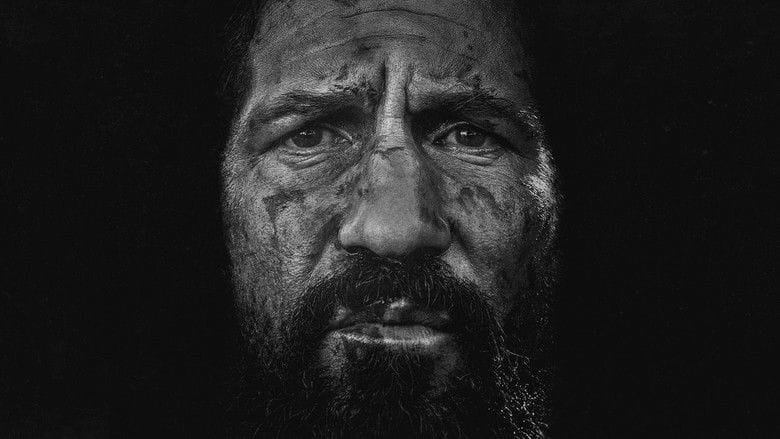 Punisher: Ostatnie starcie na Vider | Online